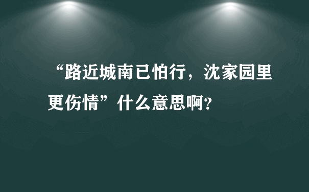 “路近城南已怕行，沈家园里更伤情”什么意思啊？