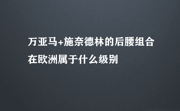 万亚马+施奈德林的后腰组合在欧洲属于什么级别