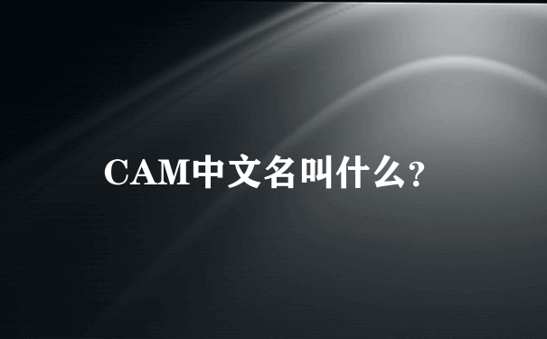 CAM中文名叫什么？