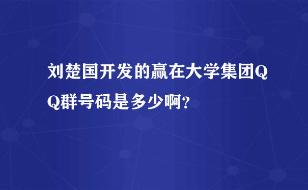 刘楚国开发的赢在大学集团QQ群号码是多少啊？