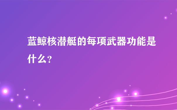 蓝鲸核潜艇的每项武器功能是什么？