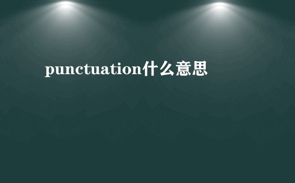 punctuation什么意思