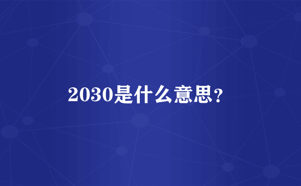 2030是什么意思？