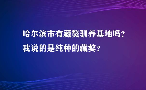 哈尔滨市有藏獒驯养基地吗？我说的是纯种的藏獒？