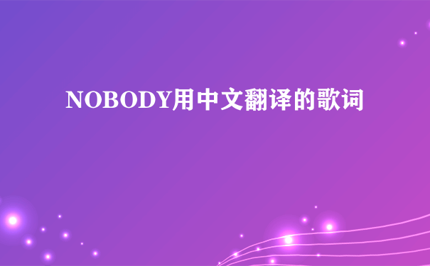 NOBODY用中文翻译的歌词