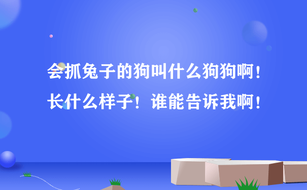 会抓兔子的狗叫什么狗狗啊！长什么样子！谁能告诉我啊！