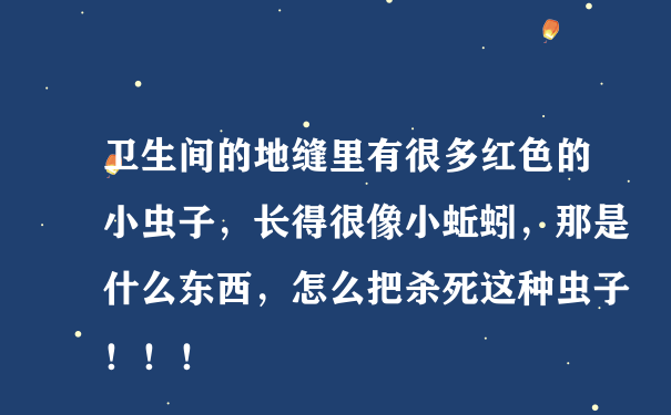 卫生间的地缝里有很多红色的小虫子，长得很像小蚯蚓，那是什么东西，怎么把杀死这种虫子！！！