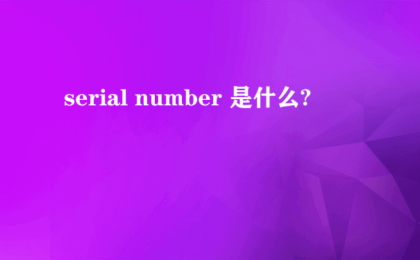 serial number 是什么?