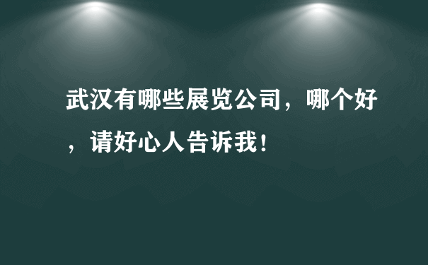 武汉有哪些展览公司，哪个好，请好心人告诉我！