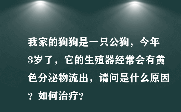 我家的狗狗是一只公狗，今年3岁了，它的生殖器经常会有黄色分泌物流出，请问是什么原因？如何治疗？