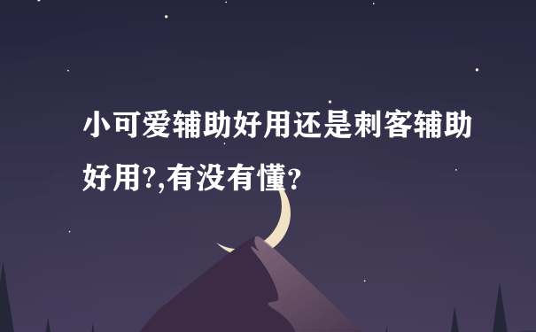 小可爱辅助好用还是刺客辅助好用?,有没有懂？