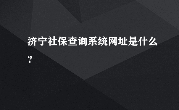 济宁社保查询系统网址是什么？