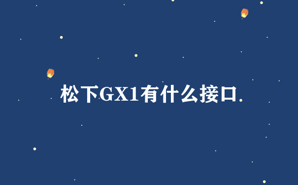 松下GX1有什么接口