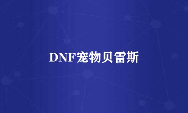 DNF宠物贝雷斯