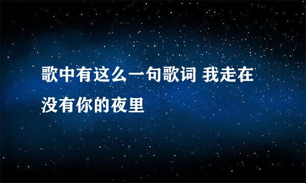 歌中有这么一句歌词 我走在没有你的夜里