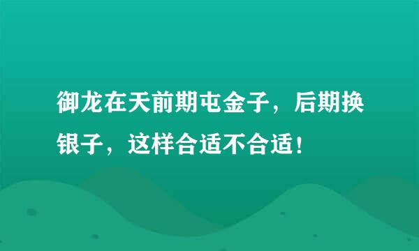 御龙在天前期屯金子，后期换银子，这样合适不合适！