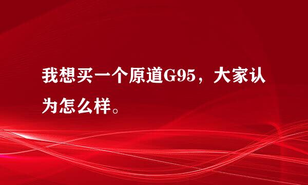 我想买一个原道G95，大家认为怎么样。