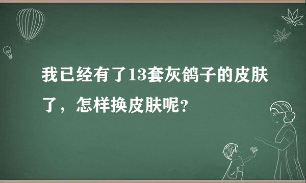 我已经有了13套灰鸽子的皮肤了，怎样换皮肤呢？