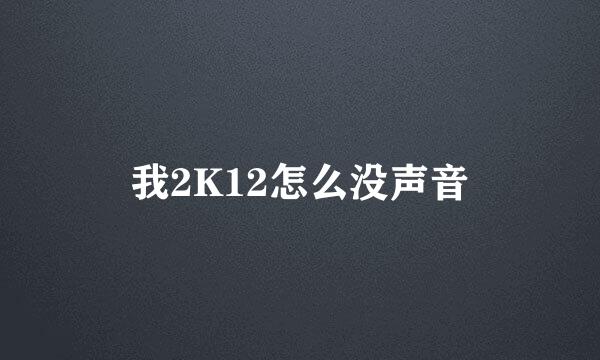 我2K12怎么没声音