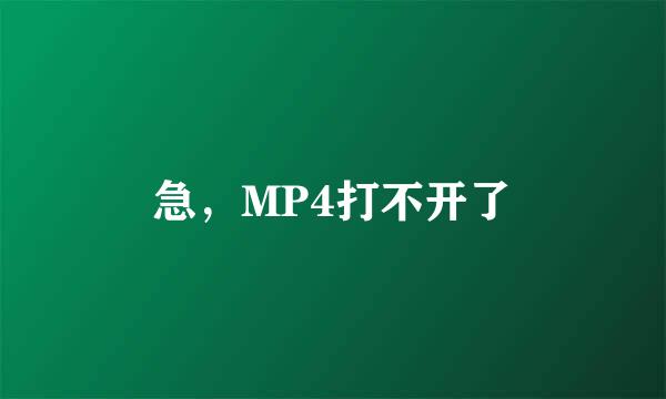 急，MP4打不开了