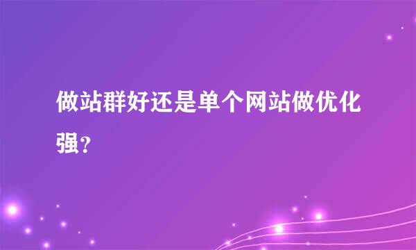 做站群好还是单个网站做优化强？