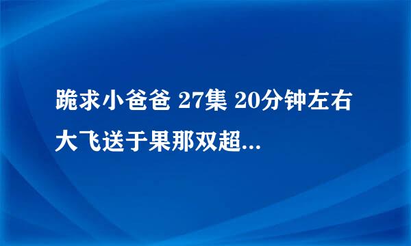 跪求小爸爸 27集 20分钟左右 大飞送于果那双超人马丁靴的牌子