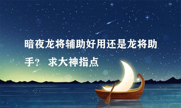 暗夜龙将辅助好用还是龙将助手？ 求大神指点