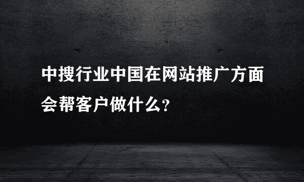 中搜行业中国在网站推广方面会帮客户做什么？