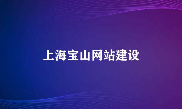 上海宝山网站建设