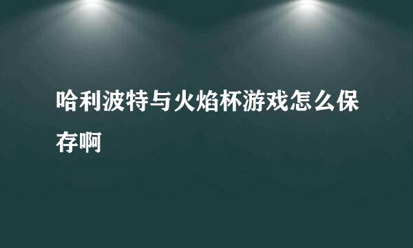 哈利波特与火焰杯游戏怎么保存啊