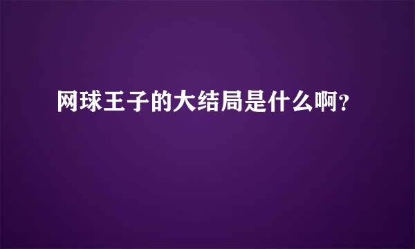 网球王子的大结局是什么啊？