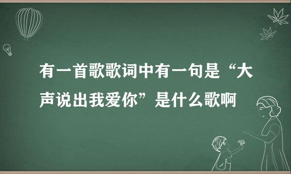 有一首歌歌词中有一句是“大声说出我爱你”是什么歌啊