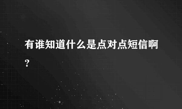 有谁知道什么是点对点短信啊？