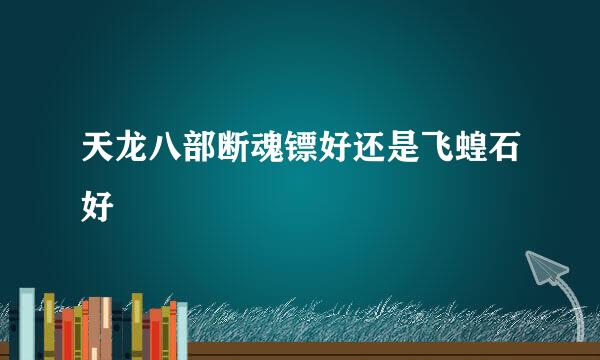 天龙八部断魂镖好还是飞蝗石好