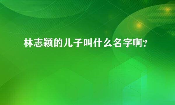 林志颖的儿子叫什么名字啊？