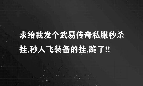 求给我发个武易传奇私服秒杀挂,秒人飞装备的挂,跪了!!