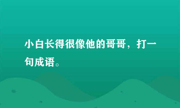 小白长得很像他的哥哥，打一句成语。