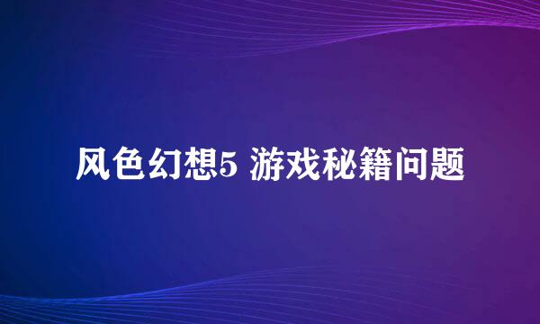 风色幻想5 游戏秘籍问题