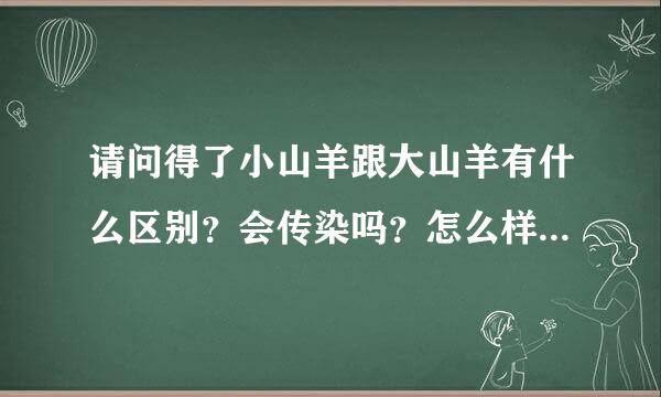 请问得了小山羊跟大山羊有什么区别？会传染吗？怎么样会传染？