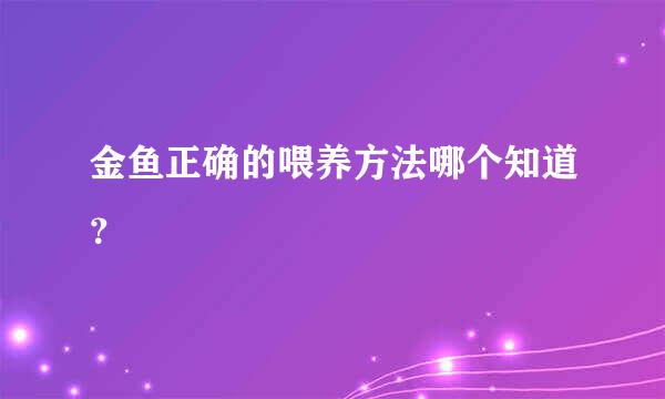 金鱼正确的喂养方法哪个知道？