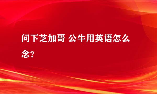 问下芝加哥 公牛用英语怎么念？