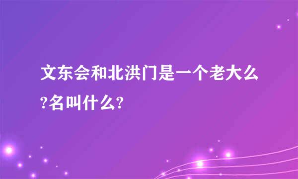 文东会和北洪门是一个老大么?名叫什么?