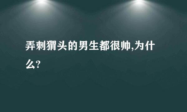 弄刺猬头的男生都很帅,为什么?