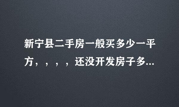 新宁县二手房一般买多少一平方，，，，还没开发房子多少钱一平方