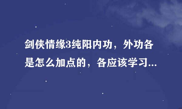 剑侠情缘3纯阳内功，外功各是怎么加点的，各应该学习什么武学？