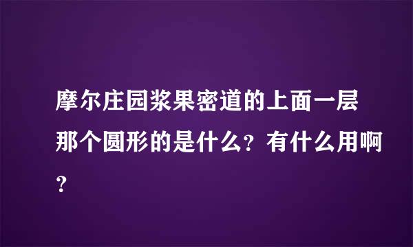 摩尔庄园浆果密道的上面一层那个圆形的是什么？有什么用啊？