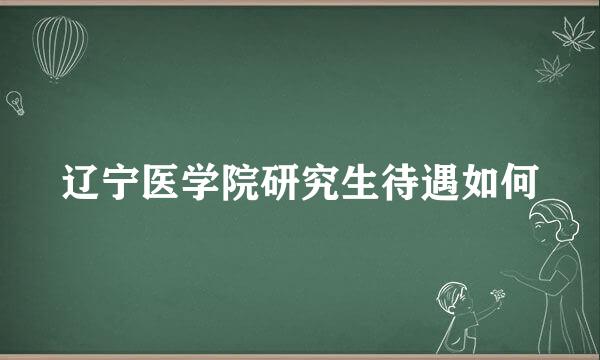 辽宁医学院研究生待遇如何