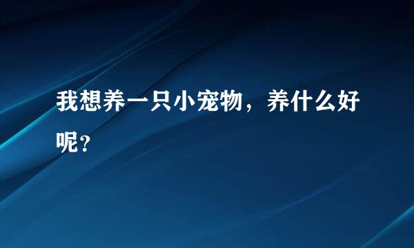 我想养一只小宠物，养什么好呢？