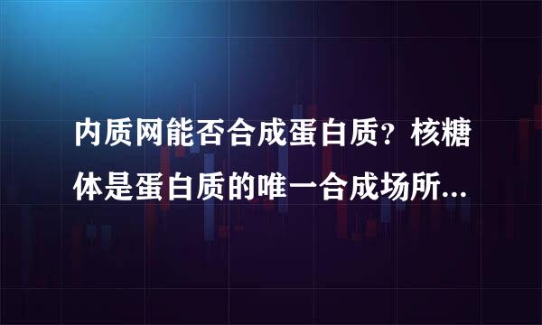 内质网能否合成蛋白质？核糖体是蛋白质的唯一合成场所吗？请给答案准确点！谢谢