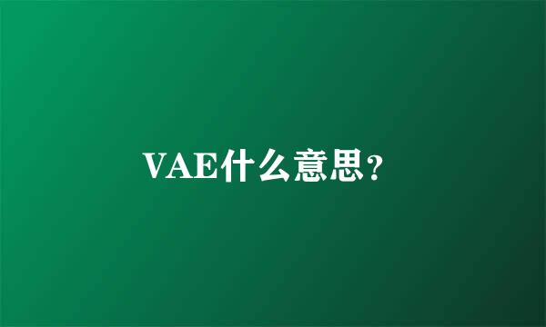 VAE什么意思？